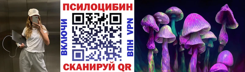 Псилоцибиновые грибы Magic Shrooms Черкесск
